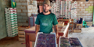 Unveil 8a21a6f614db065bb1ca2c21a5c803aede783f93e5277febbd47f37d9dbae4ca