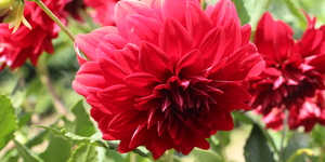 Unveil 8a21a6f614db065bb1ca2c21a5c803aede783f93e5277febbd47f37d9dbae4ca