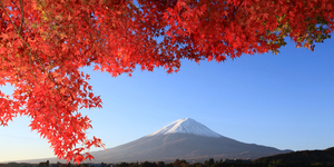 Unveil 8a21a6f614db065bb1ca2c21a5c803aede783f93e5277febbd47f37d9dbae4ca