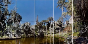 Unveil 8a21a6f614db065bb1ca2c21a5c803aede783f93e5277febbd47f37d9dbae4ca