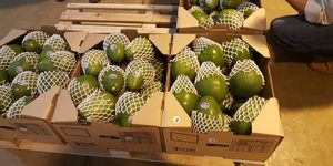 Unveil 8a21a6f614db065bb1ca2c21a5c803aede783f93e5277febbd47f37d9dbae4ca