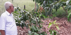 Unveil 8a21a6f614db065bb1ca2c21a5c803aede783f93e5277febbd47f37d9dbae4ca