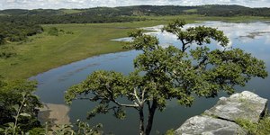 Unveil 8a21a6f614db065bb1ca2c21a5c803aede783f93e5277febbd47f37d9dbae4ca