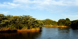 Unveil 8a21a6f614db065bb1ca2c21a5c803aede783f93e5277febbd47f37d9dbae4ca