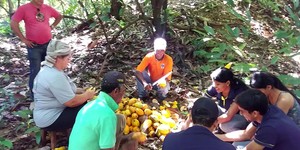 Unveil 8a21a6f614db065bb1ca2c21a5c803aede783f93e5277febbd47f37d9dbae4ca