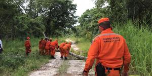 Unveil 8a21a6f614db065bb1ca2c21a5c803aede783f93e5277febbd47f37d9dbae4ca