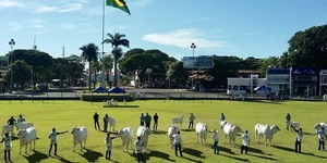 Unveil 8a21a6f614db065bb1ca2c21a5c803aede783f93e5277febbd47f37d9dbae4ca