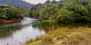 Unveil 8a21a6f614db065bb1ca2c21a5c803aede783f93e5277febbd47f37d9dbae4ca