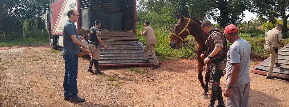 imagem de destaque