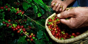 Unveil 8a21a6f614db065bb1ca2c21a5c803aede783f93e5277febbd47f37d9dbae4ca