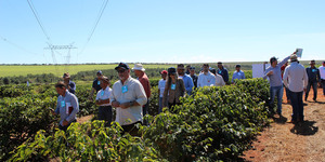 Unveil 8a21a6f614db065bb1ca2c21a5c803aede783f93e5277febbd47f37d9dbae4ca