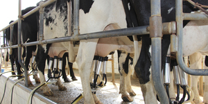 Unveil 8a21a6f614db065bb1ca2c21a5c803aede783f93e5277febbd47f37d9dbae4ca