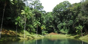 Unveil 8a21a6f614db065bb1ca2c21a5c803aede783f93e5277febbd47f37d9dbae4ca