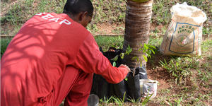 Unveil 8a21a6f614db065bb1ca2c21a5c803aede783f93e5277febbd47f37d9dbae4ca