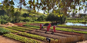 Unveil 8a21a6f614db065bb1ca2c21a5c803aede783f93e5277febbd47f37d9dbae4ca