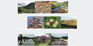 Unveil 8a21a6f614db065bb1ca2c21a5c803aede783f93e5277febbd47f37d9dbae4ca