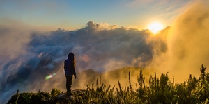 Unveil 8a21a6f614db065bb1ca2c21a5c803aede783f93e5277febbd47f37d9dbae4ca