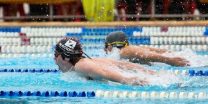 Unveil 8a21a6f614db065bb1ca2c21a5c803aede783f93e5277febbd47f37d9dbae4ca