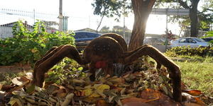 Unveil 8a21a6f614db065bb1ca2c21a5c803aede783f93e5277febbd47f37d9dbae4ca