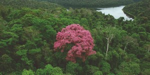 Unveil 8a21a6f614db065bb1ca2c21a5c803aede783f93e5277febbd47f37d9dbae4ca