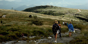 Unveil 8a21a6f614db065bb1ca2c21a5c803aede783f93e5277febbd47f37d9dbae4ca