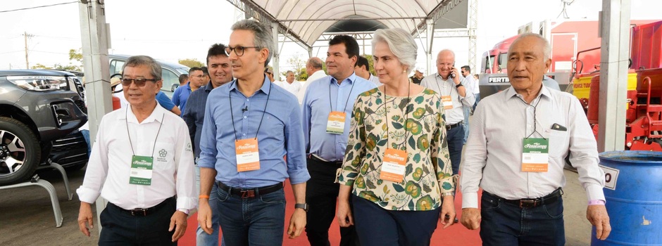 imagem de destaque