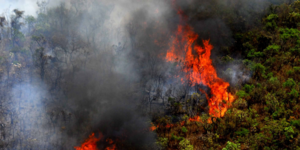 Unveil 8a21a6f614db065bb1ca2c21a5c803aede783f93e5277febbd47f37d9dbae4ca