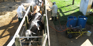 Unveil 8a21a6f614db065bb1ca2c21a5c803aede783f93e5277febbd47f37d9dbae4ca