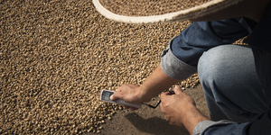 Unveil 8a21a6f614db065bb1ca2c21a5c803aede783f93e5277febbd47f37d9dbae4ca