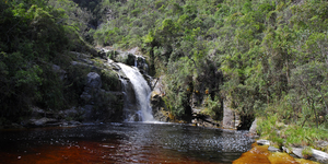 Unveil 8a21a6f614db065bb1ca2c21a5c803aede783f93e5277febbd47f37d9dbae4ca