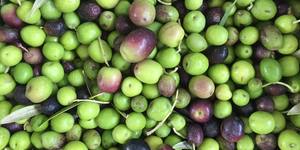 Unveil 8a21a6f614db065bb1ca2c21a5c803aede783f93e5277febbd47f37d9dbae4ca