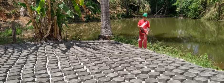 imagem de destaque