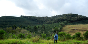 Unveil 8a21a6f614db065bb1ca2c21a5c803aede783f93e5277febbd47f37d9dbae4ca