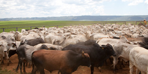 Unveil 8a21a6f614db065bb1ca2c21a5c803aede783f93e5277febbd47f37d9dbae4ca