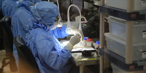 Unveil 8a21a6f614db065bb1ca2c21a5c803aede783f93e5277febbd47f37d9dbae4ca