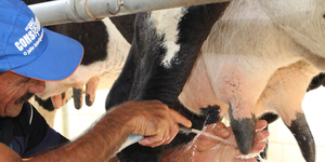 Unveil 8a21a6f614db065bb1ca2c21a5c803aede783f93e5277febbd47f37d9dbae4ca