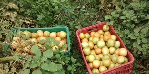 Unveil 8a21a6f614db065bb1ca2c21a5c803aede783f93e5277febbd47f37d9dbae4ca