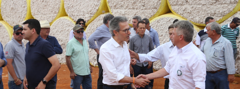 imagem de destaque