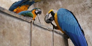 Unveil 8a21a6f614db065bb1ca2c21a5c803aede783f93e5277febbd47f37d9dbae4ca