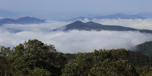 Unveil 8a21a6f614db065bb1ca2c21a5c803aede783f93e5277febbd47f37d9dbae4ca