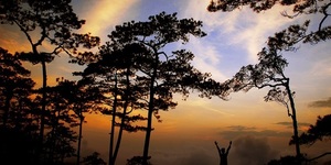 Unveil 8a21a6f614db065bb1ca2c21a5c803aede783f93e5277febbd47f37d9dbae4ca