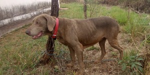 Unveil 8a21a6f614db065bb1ca2c21a5c803aede783f93e5277febbd47f37d9dbae4ca