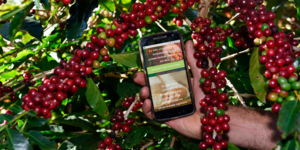 Unveil 8a21a6f614db065bb1ca2c21a5c803aede783f93e5277febbd47f37d9dbae4ca