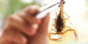 Unveil 8a21a6f614db065bb1ca2c21a5c803aede783f93e5277febbd47f37d9dbae4ca