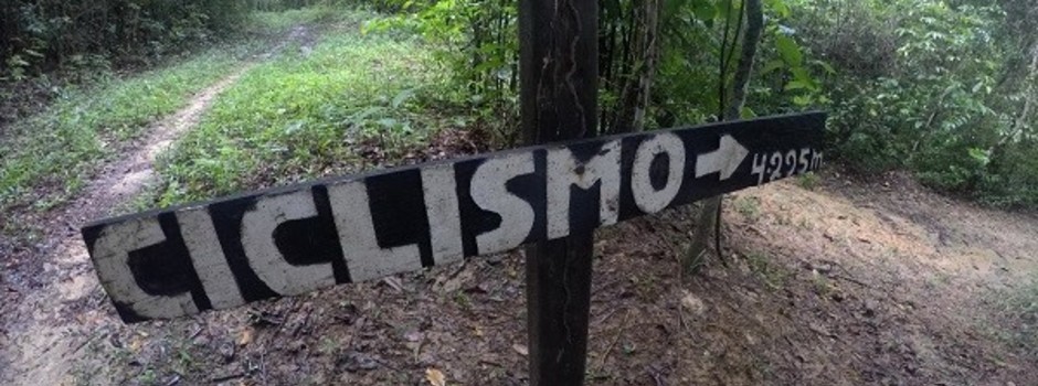 imagem de destaque
