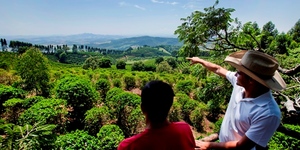 Unveil 8a21a6f614db065bb1ca2c21a5c803aede783f93e5277febbd47f37d9dbae4ca