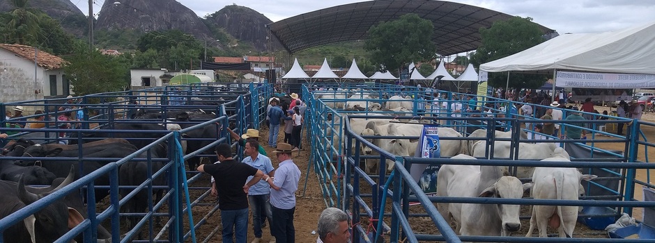 imagem de destaque