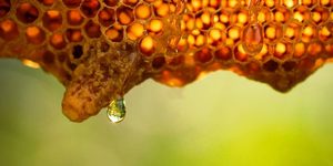 Unveil 8a21a6f614db065bb1ca2c21a5c803aede783f93e5277febbd47f37d9dbae4ca