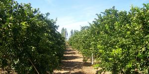 Unveil 8a21a6f614db065bb1ca2c21a5c803aede783f93e5277febbd47f37d9dbae4ca