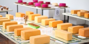 Unveil 8a21a6f614db065bb1ca2c21a5c803aede783f93e5277febbd47f37d9dbae4ca